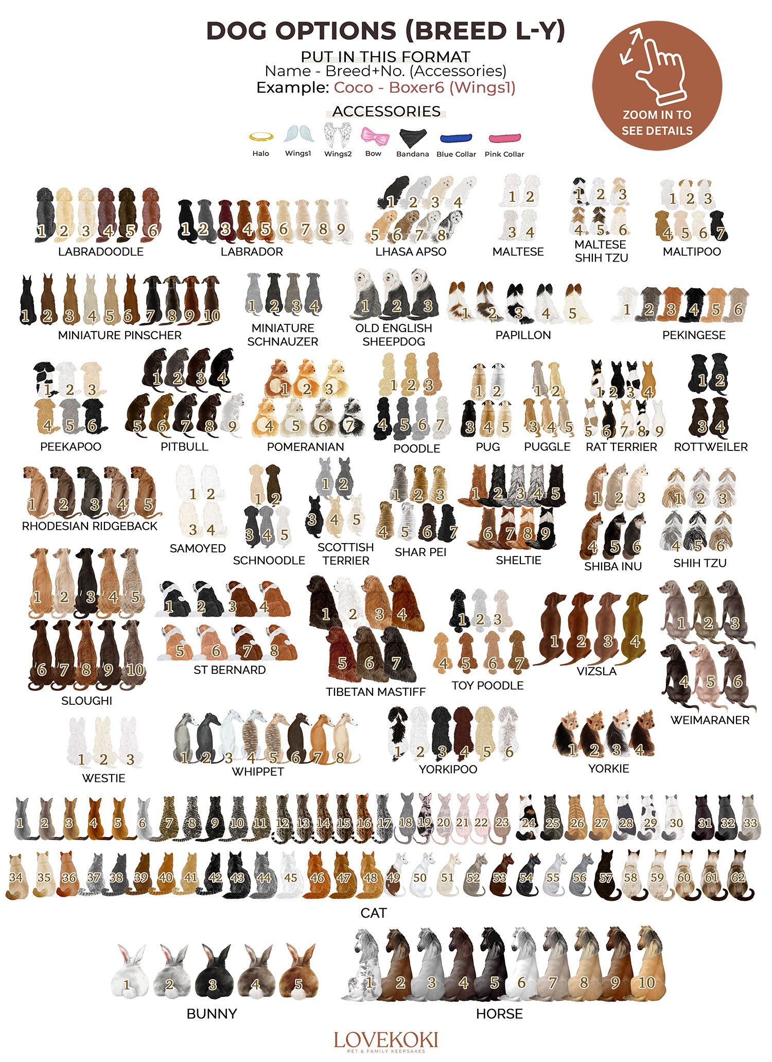 a poster with a bunch of different types of chess pieces