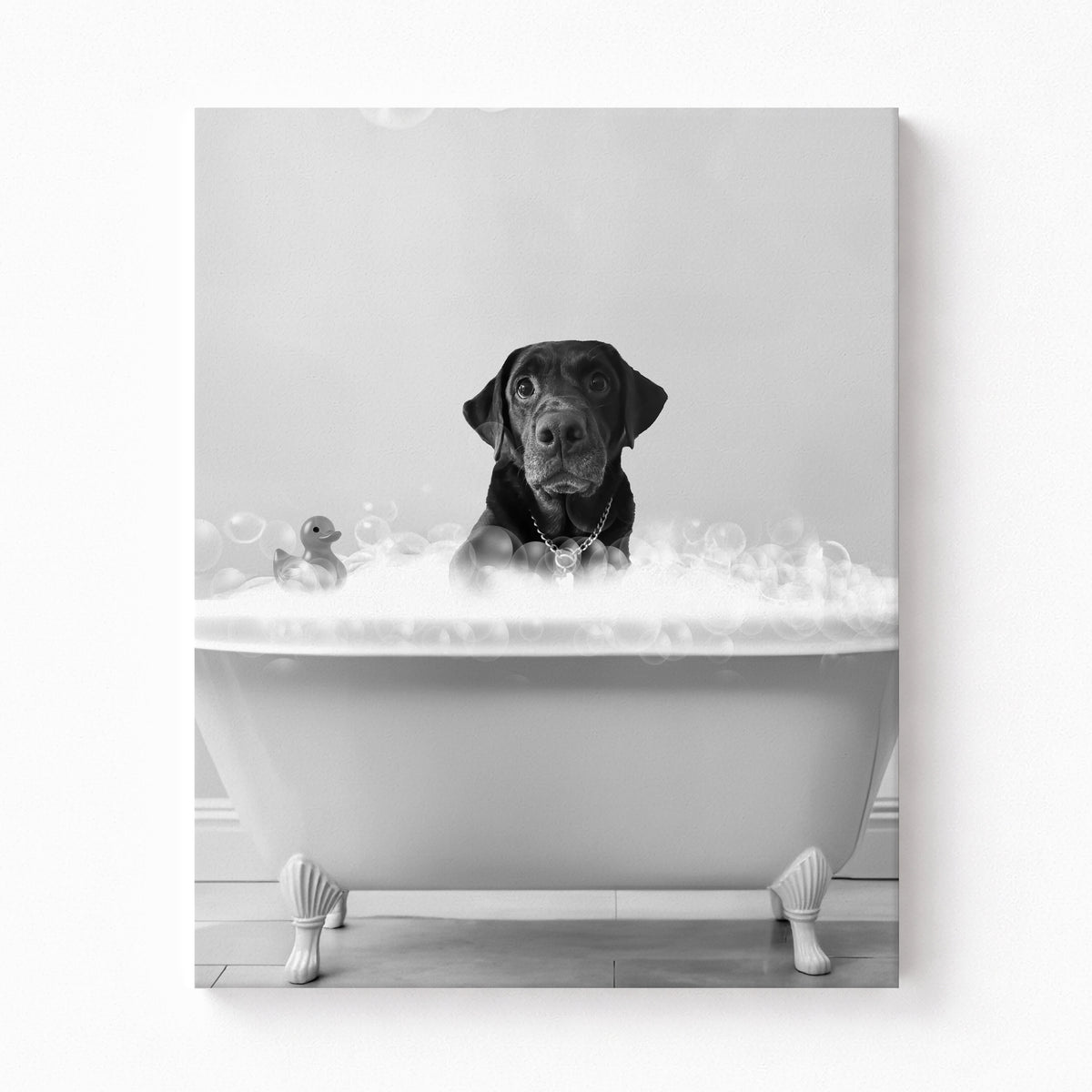 Black & White Dog in Bathtub Portrait | Modern Pet Photo Art